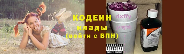 гидра Верхний Тагил