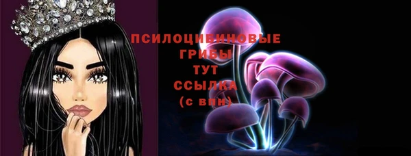 прущие крисы Бугульма