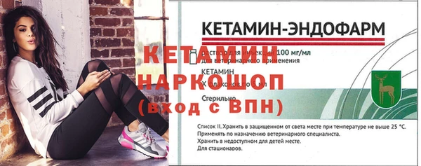 гидра Бородино