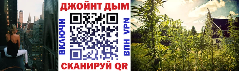 kraken ССЫЛКА  Домодедово  Бошки марихуана OG Kush  закладки 
